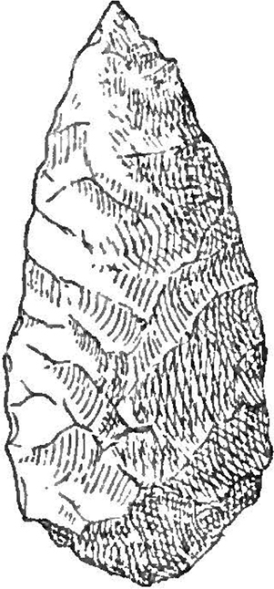 Line drawing of a Mousterian point